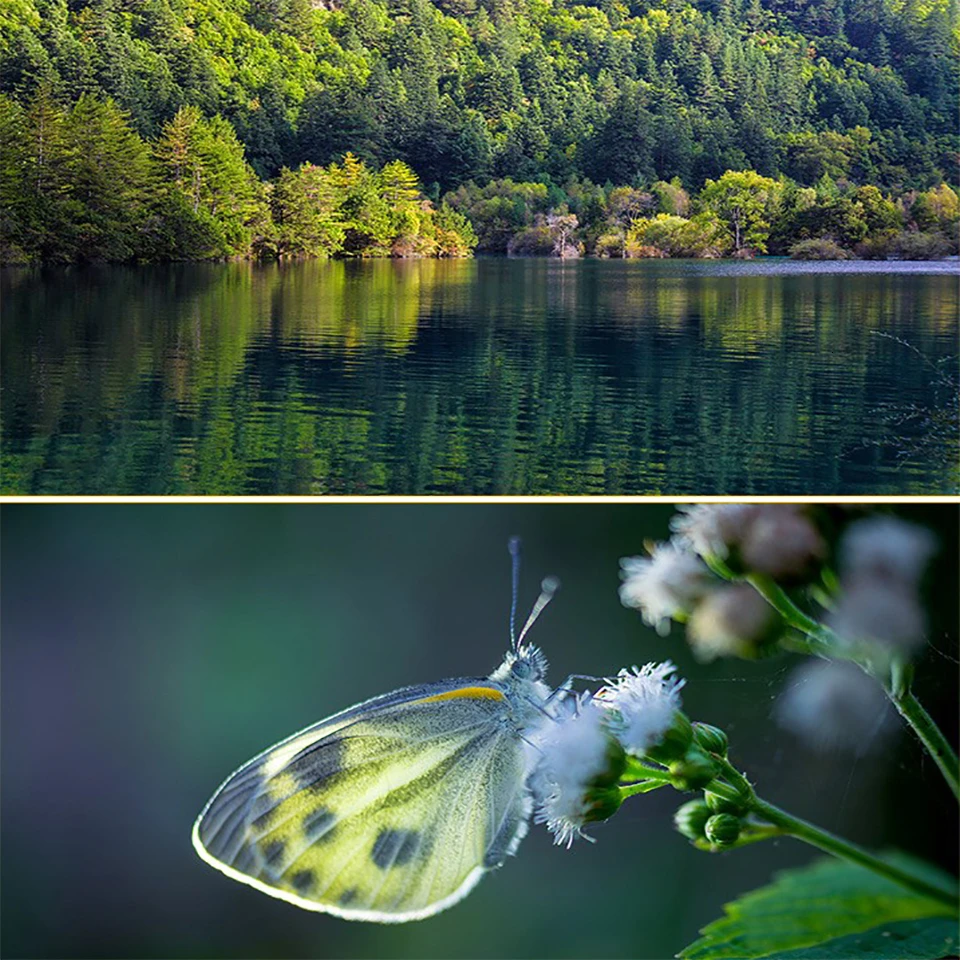 BAODELI Cpl Polarisatie фильтр 37 46 49 52 55 58 67 72 77 82 мм Цифрового Фотоаппарата Canon T6 Eos M50 600d 2000d Nikon P900 D5100 5600 sony X3000