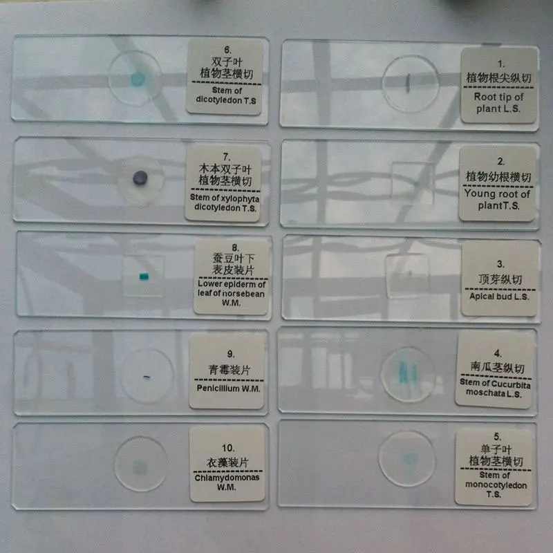 Профессиональные 50 шт. готовые стеклянные предметы Биологический микроскоп для