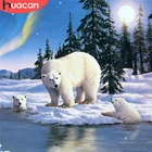 HUACAN 5D алмазная картина медведь вышивка крестиком продажа Алмазная вышивка Бриллиантовая мозаика с животным картина Стразы ручной работы подарок