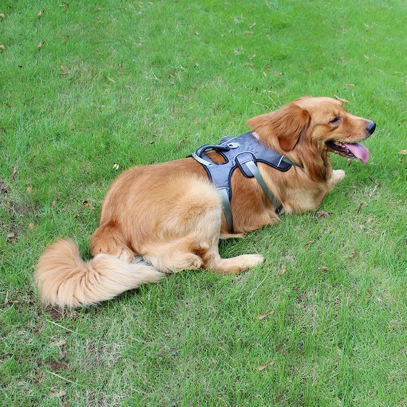 TUFF HOUND сильные поводки для собак тренировочная безрукавка средние и большие собаки регулируемая уличная Защитная собачья жгут Pitbull