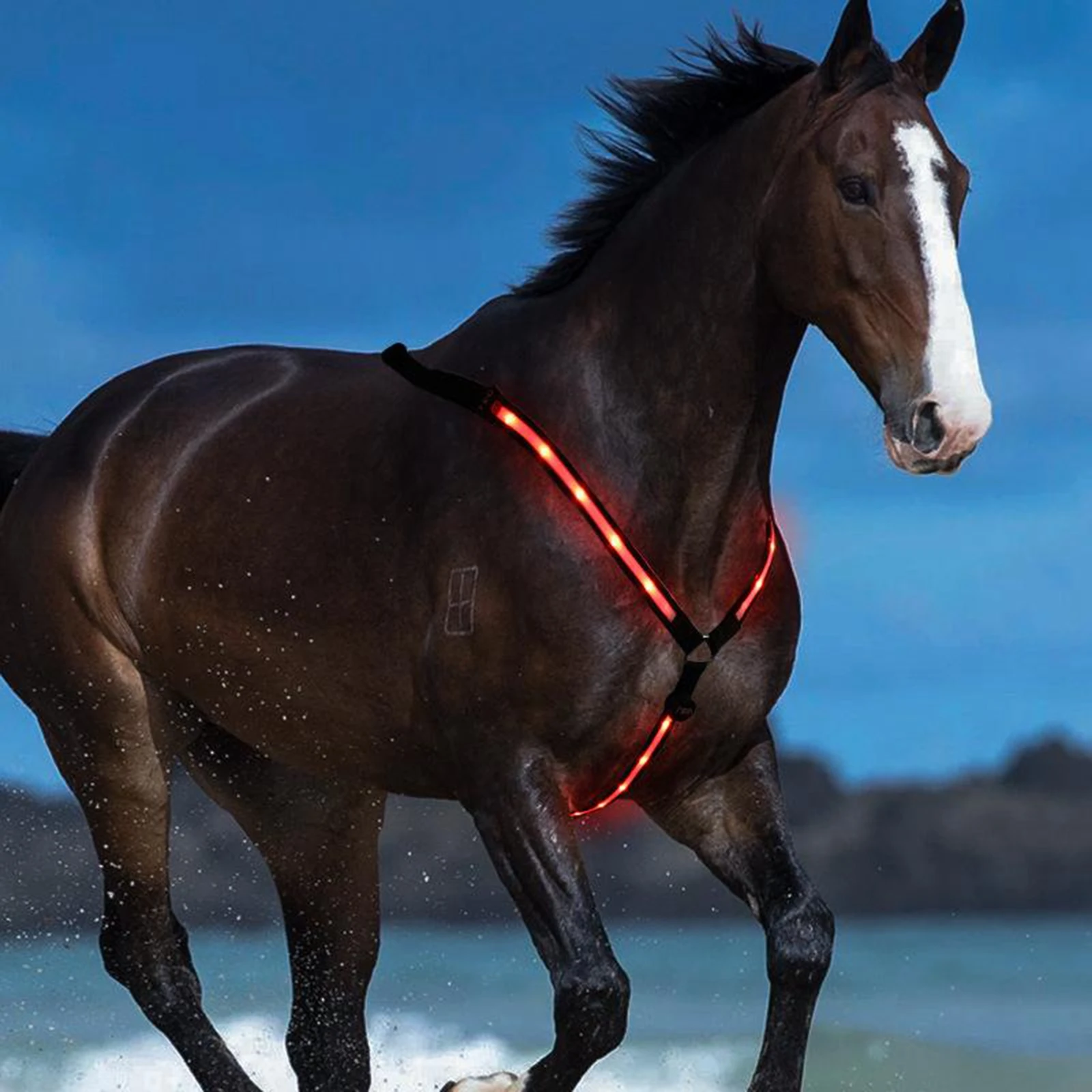 

LED Horse Breastplate Collar - USB Rechargeable - High Visibility Tack for