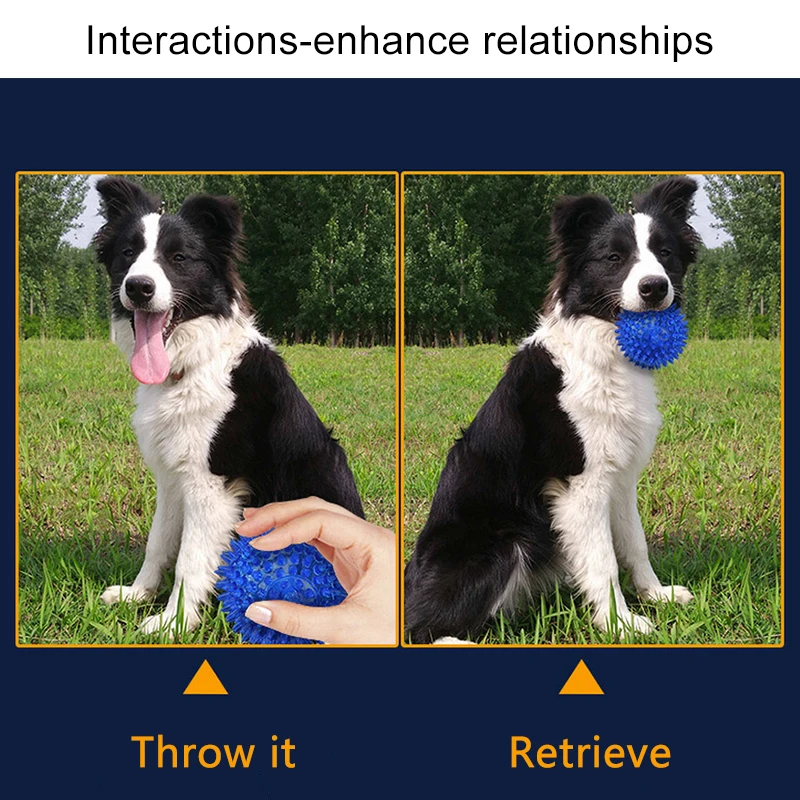 Игрушки для собак S/M/L пищащие прыгающие мячи прочные игрушки детской конструкции
