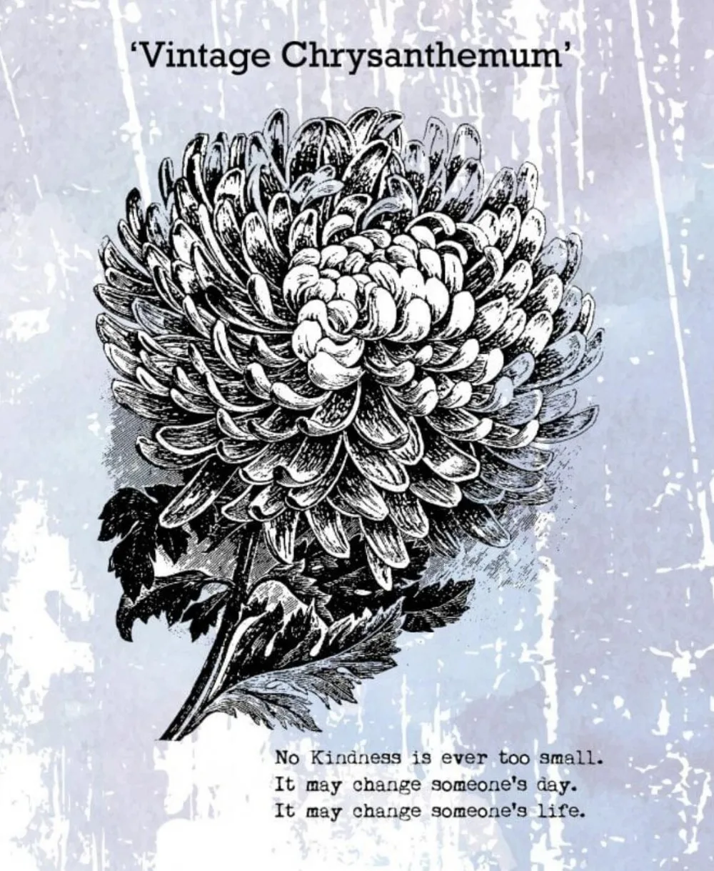 

Цветочный прозрачный силиконовый штамп/печать для DIY скрапбукинга/декоративный прозрачный штамп для фотоальбома W1842