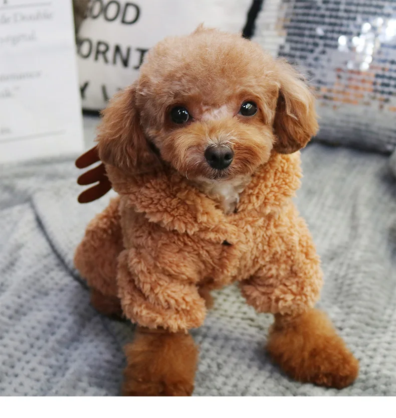 Warm Funny Reindeer Design Pet Cat Costume Windproof Small Cats Hoodie Kitten Dog Clothing Ubrania Dla Kota Hoodies OO50JS | Дом и сад