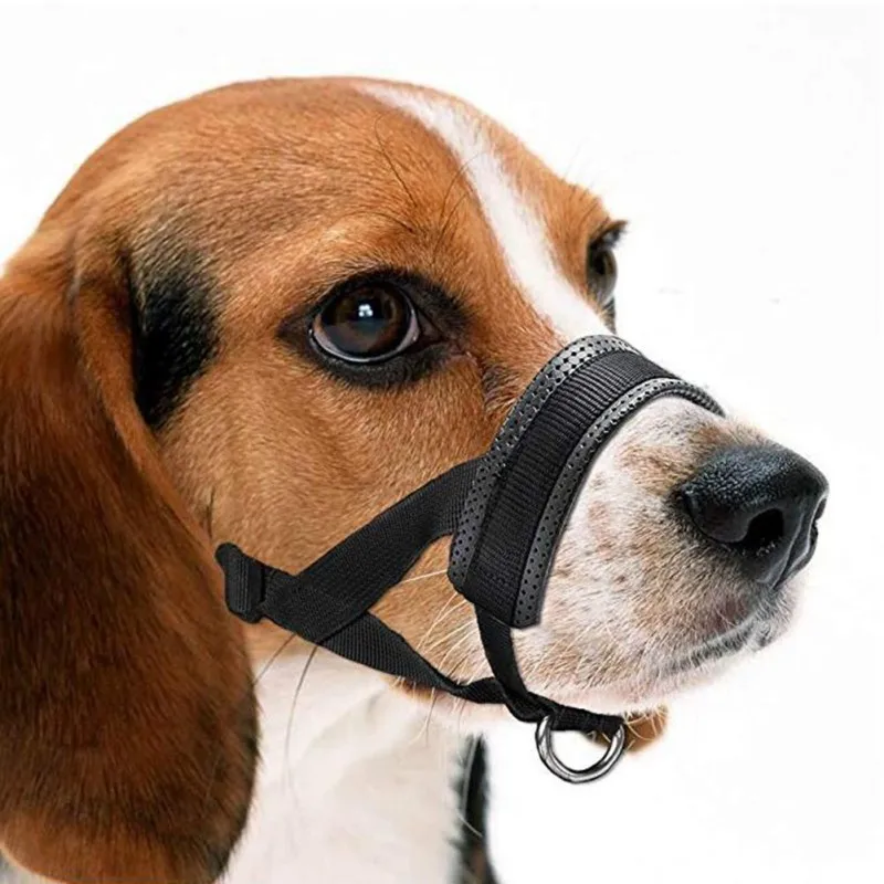 

Nylon Dog Muzzle For Small Medium Large Dogs Prevent From Biting Barking And Chewing Adjustable Loop Can Drink Water