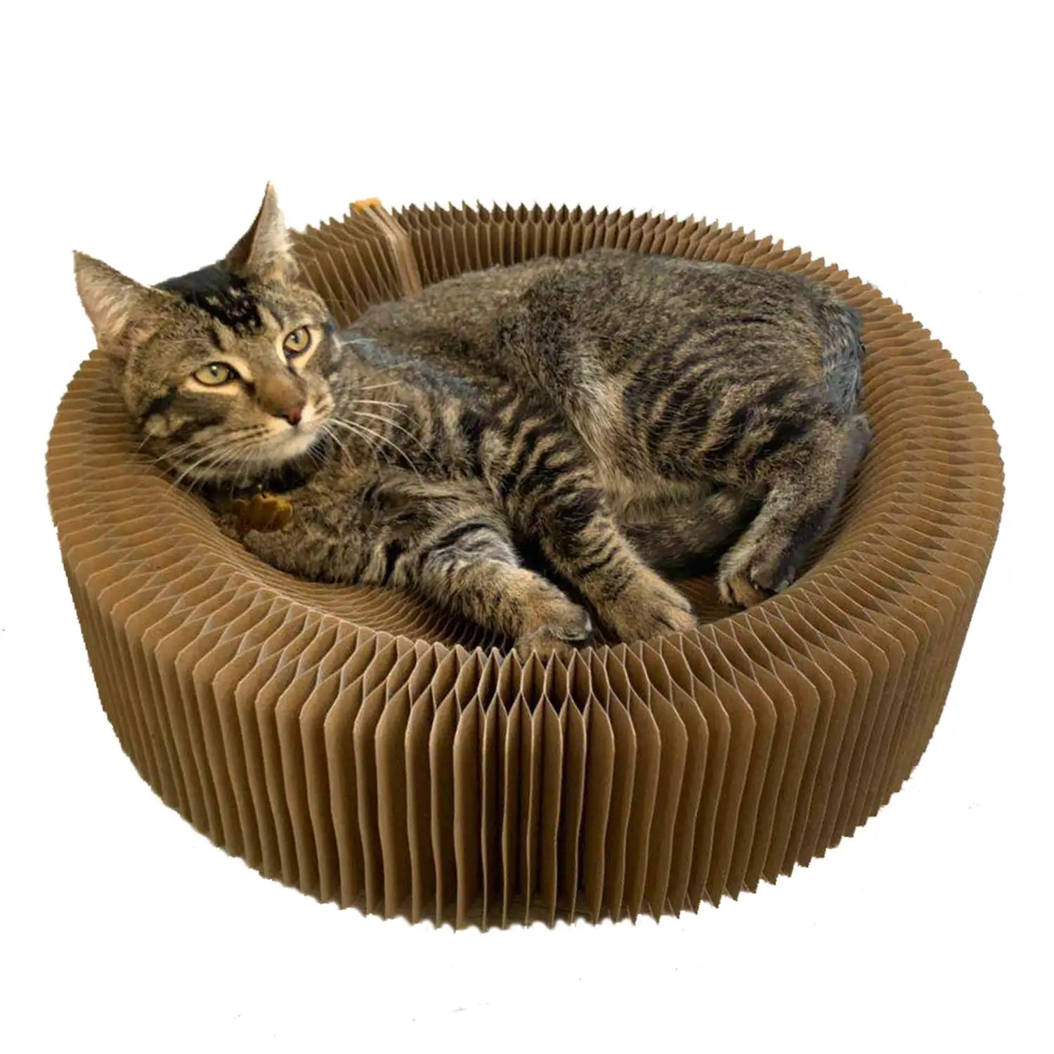 

2 in 1 Deformation Cat Scratching Board Folding Organ Corrugated Cat Litter Bed Large Claw Rubbing Tool Collapsible Round Shape