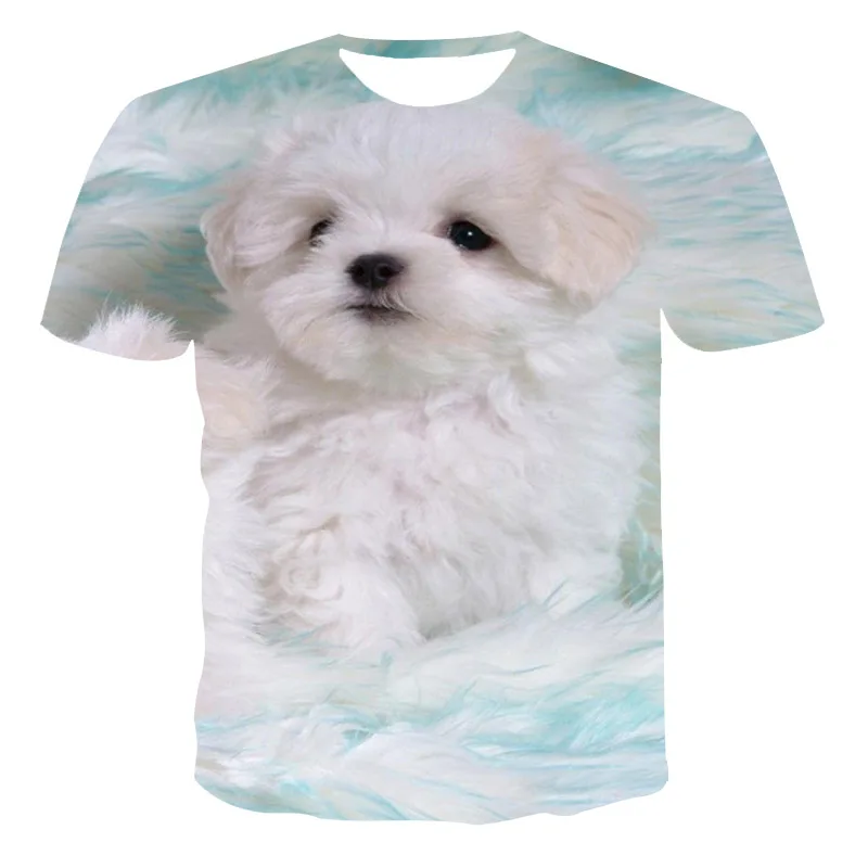 

New men's clothing spring and summer T-shirt animal cute dog street clothing short-sleeved T-shirt tops beautiful men's clothing