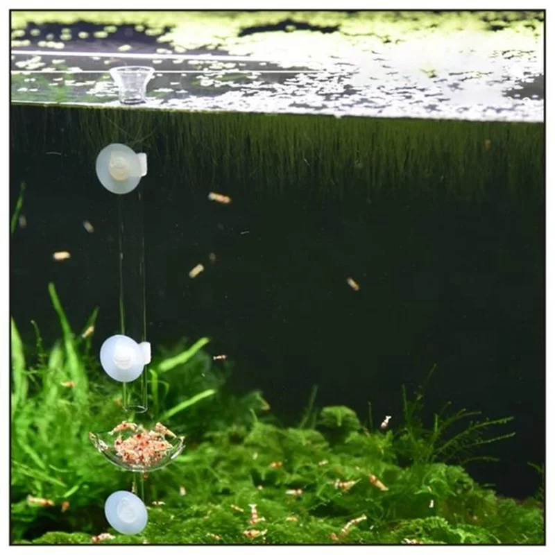 Аквариумная креветка акриловая миска для кормления рыбка кормушка с резервуаром