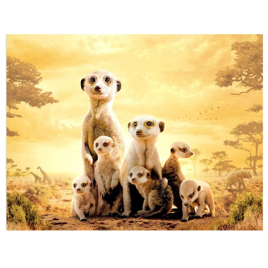 Полностью квадратная дрель 5D DIY Алмазная картина Meerkat Семейные значки вышивка