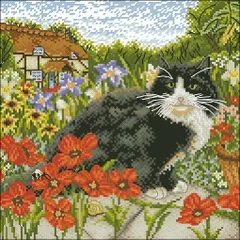 

xiaoyi cotton self-matching cross stitch Cross stitch RS cotton comes Magazine - the cat in the poppy field