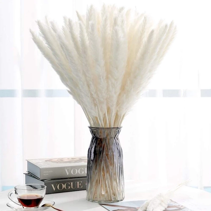 

Pampas Grass 30pcs Dekoration Dry Flowers Natural Reed Phragmites Bunch Communis Decoration Horsetail Whisk Lagurus Ovatus