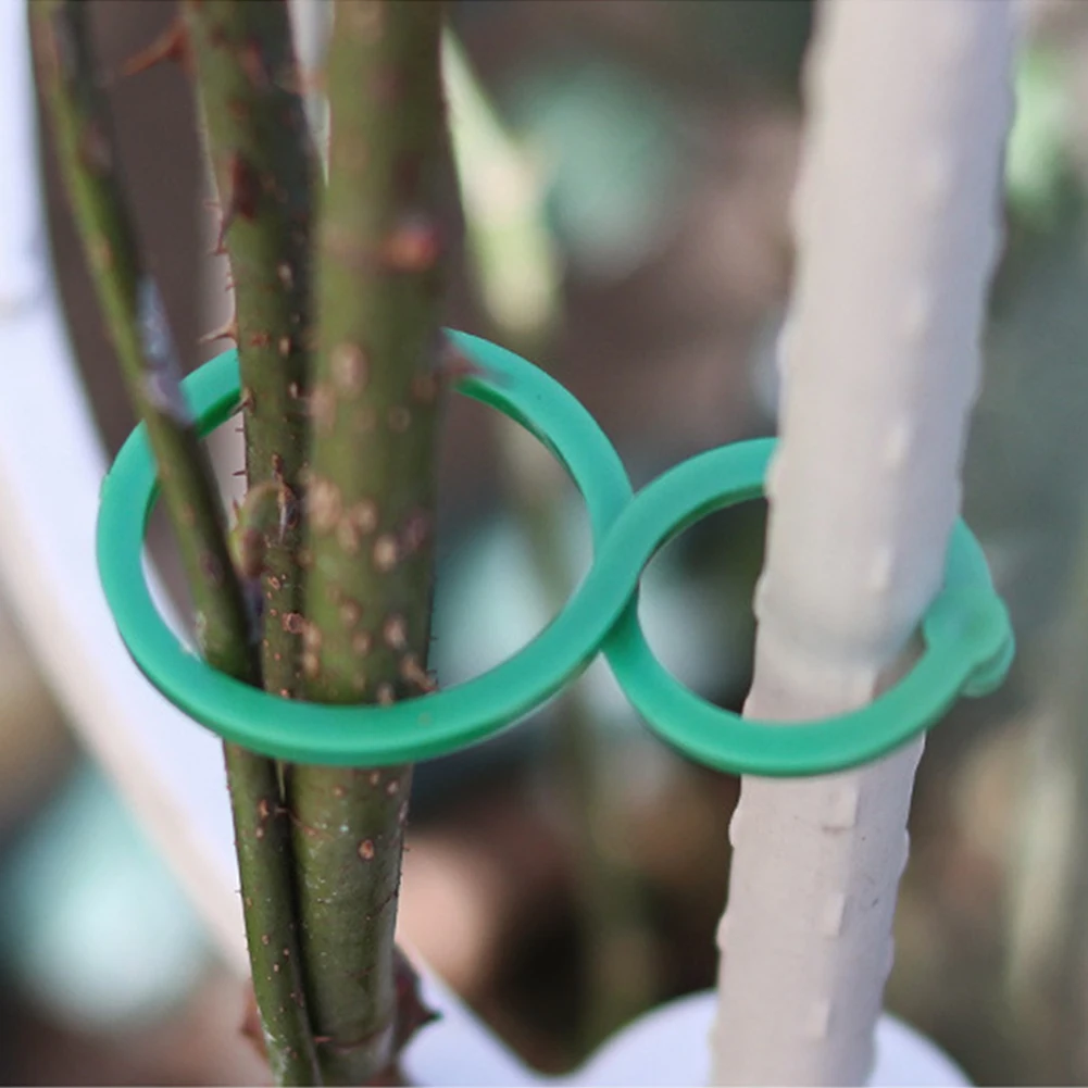 

50/100 шт. держатель для садовых растений, решетчатые зажимы для винограда, овощей, новинка, выращивание томатов, вертикальный садовый держате...