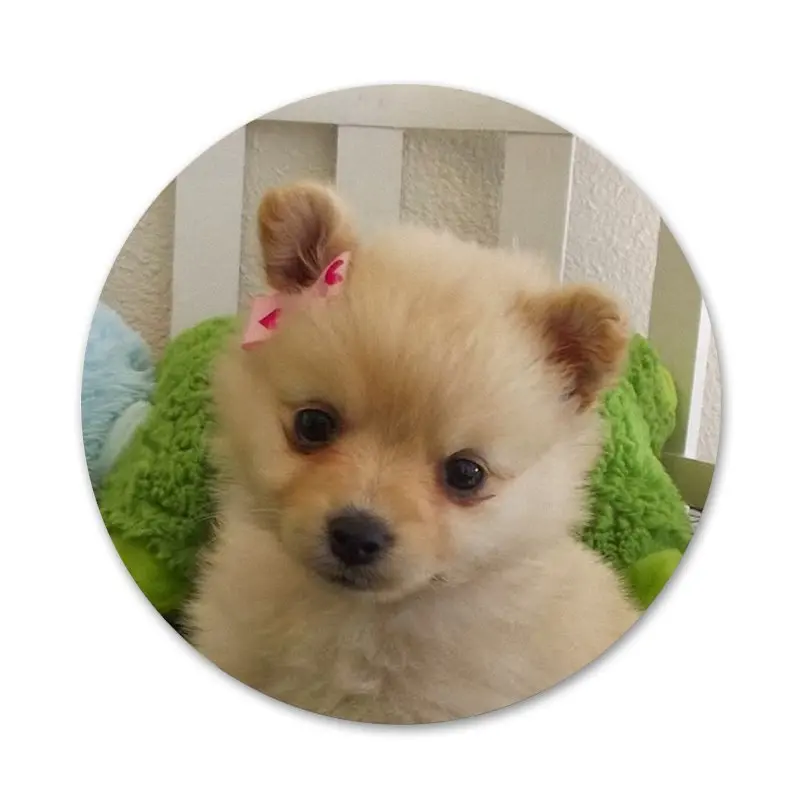 Значки для щенков померанского шпильки значки металлические детской модели 58