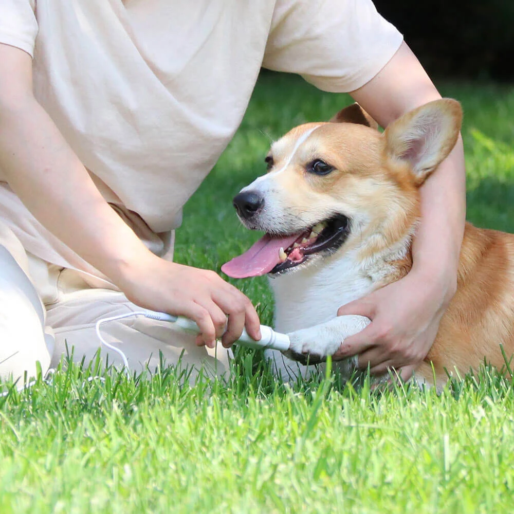Машинка для маникюра Pawbby электрическая машинка собак кошек домашних животных |