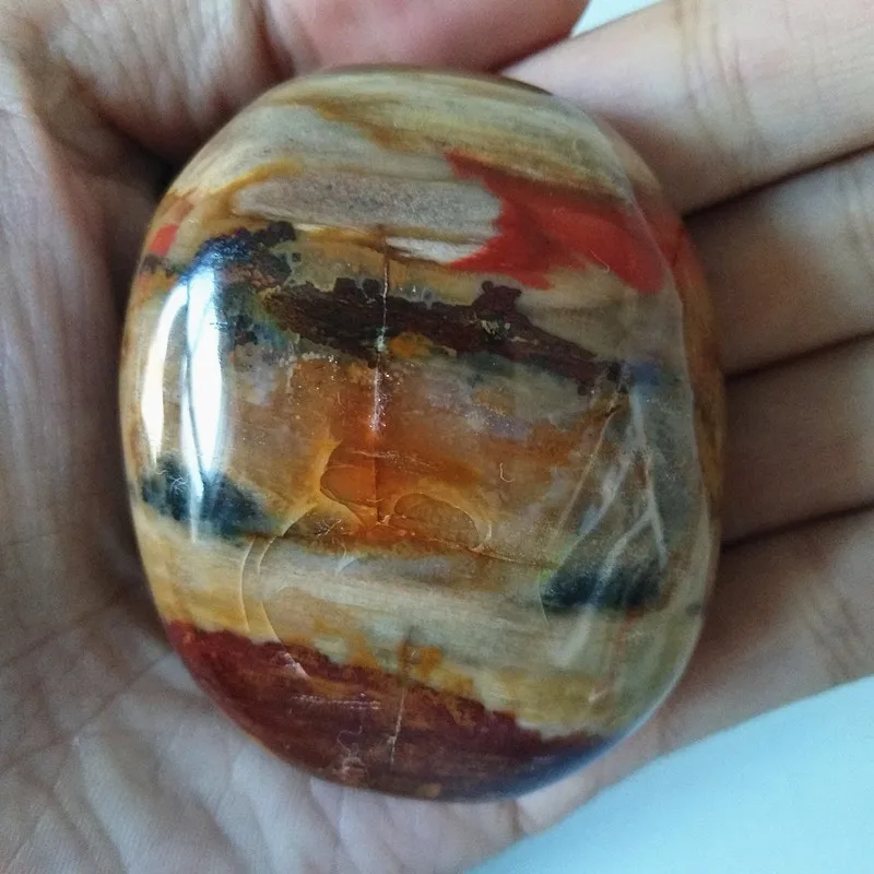 Натуральное дерево fossilThe fossilized камень из натуральной деревянной пальмы