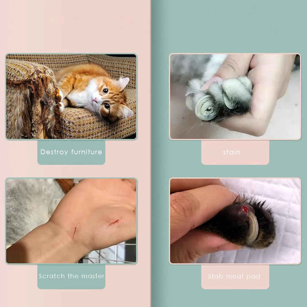 

Cat Dog Grooming Nail Clippers Puppy Nail Trimmer Cutter Stainless Steel Dogs Cats Claw Nail Scissors Pet Toe Care