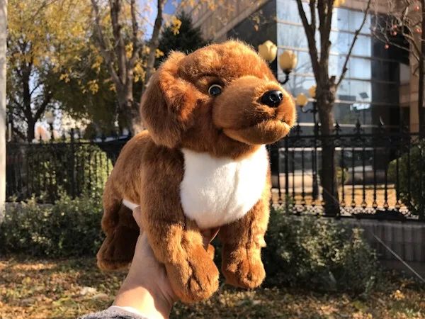 

35cm Cute Dachshund Dog Realistic Lifelike Wild Animal Soft Stuffed Plush Toy Doll Children Baby Birthday Gift
