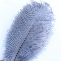 50pcslot gary ostrich feathers for jewelry making 15 70cm grey feathers ostrich plumes home wedding feathers decoration plumas