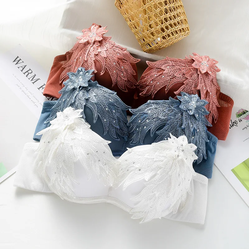 Нижнее белье женское с вышитыми перьями привлекательное кружевное в винтажном