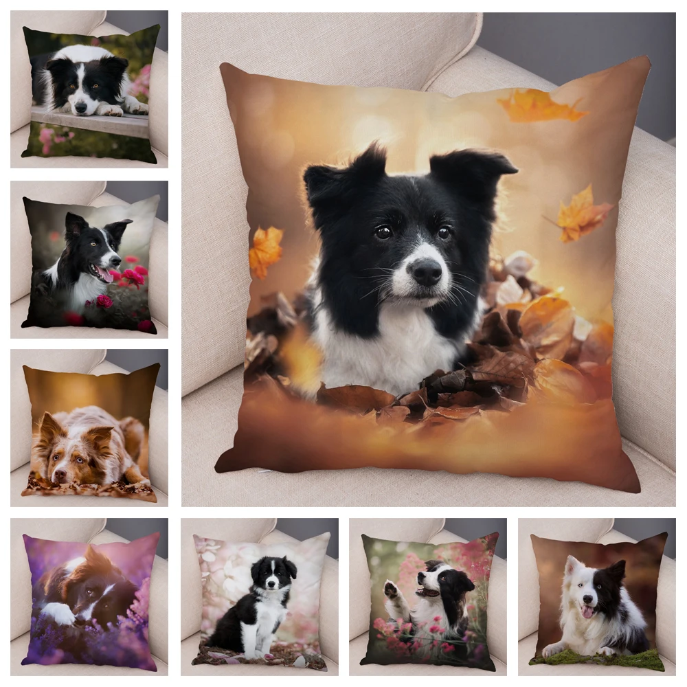 

Soft Plush Cute Pet Animal Cushion Cover Scotland Border Collie Pillowcase for Sofa Car Decor Dog Printed Pillow Case 45*45cm