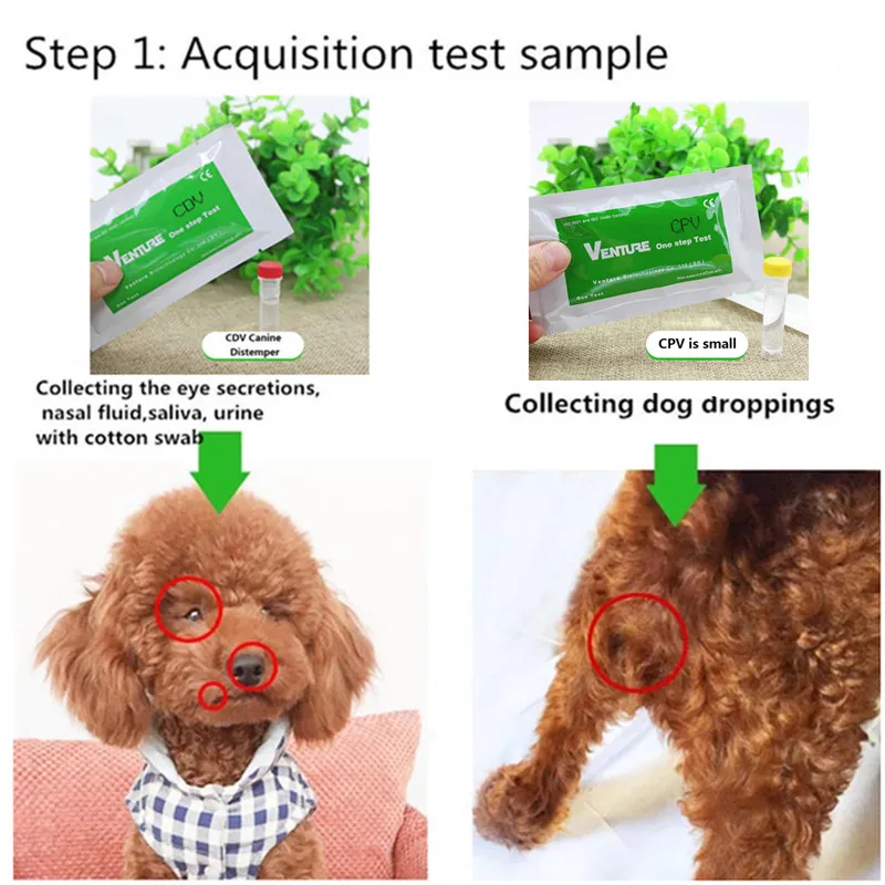 Canine Dog cat Distemper CDV/CPV домашние носовые тампоны тест на здоровье бумага для