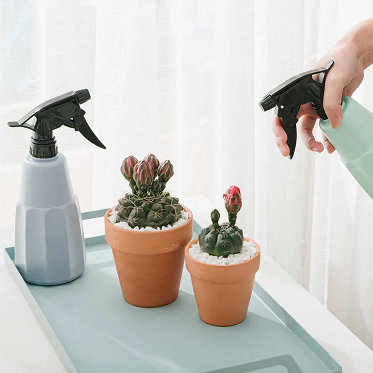 

Multi-purpose Sprayer Plant Sprayer Bottle pressure sprayer 500ml hand Sprayer Plant Home Garden Multi-purpose sprayer