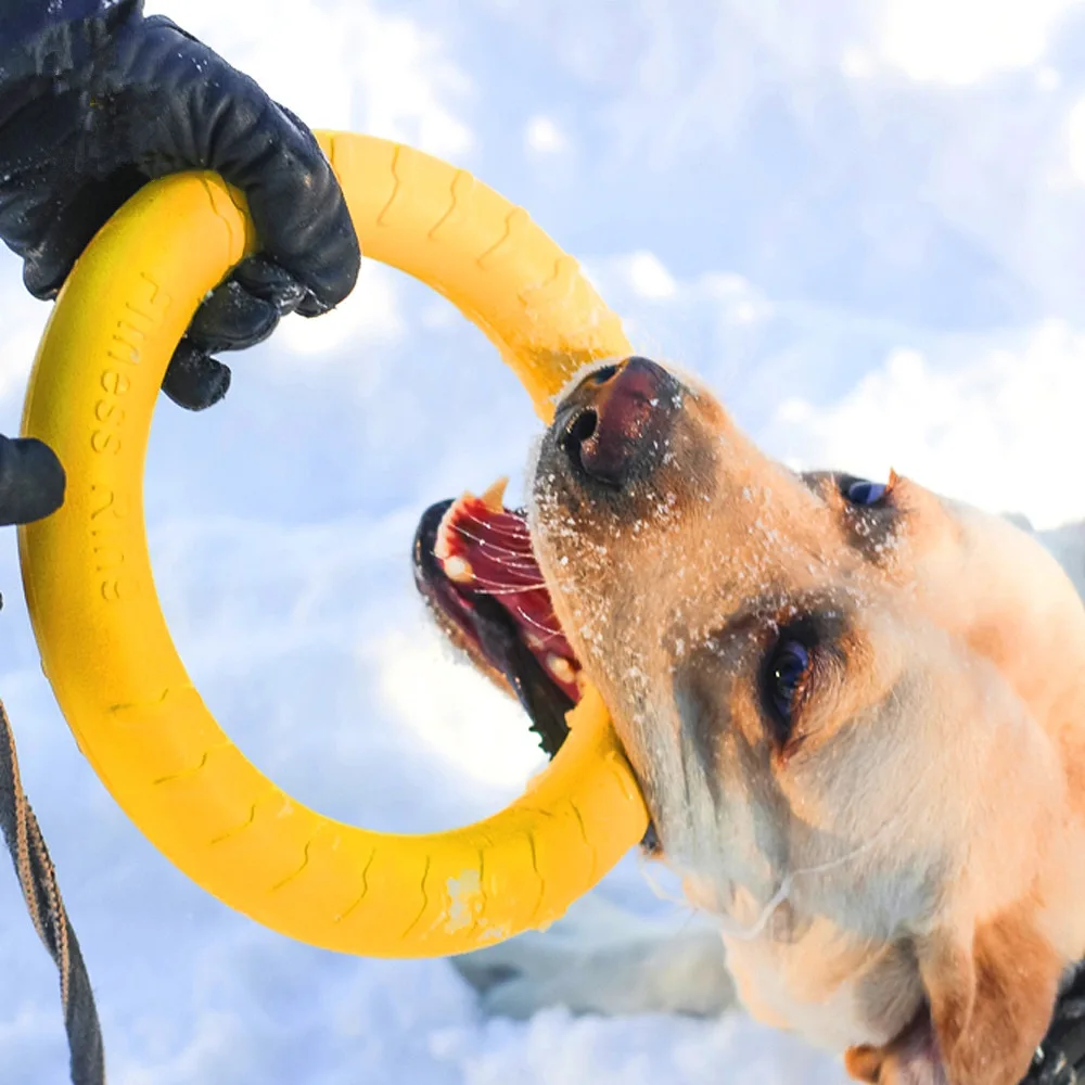 

Amphibious Dog Toys Ball with Rope/Flying Discs/Chew Toy Ring EVA Pet Toy for Dogs Interactive Ball for Small/Large Dogs Cats