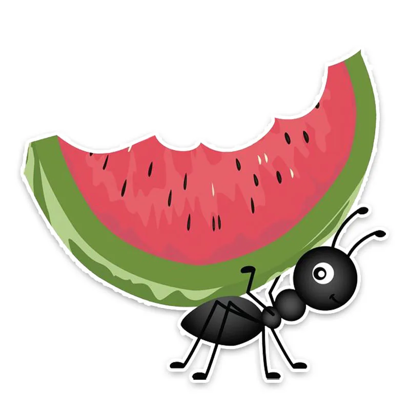 

Interesting Lovely Watermelon Ants Decor Car Stickers Bumper Trunk Laptop Rear Windshield Bumper Personalized PVC13x12cm
