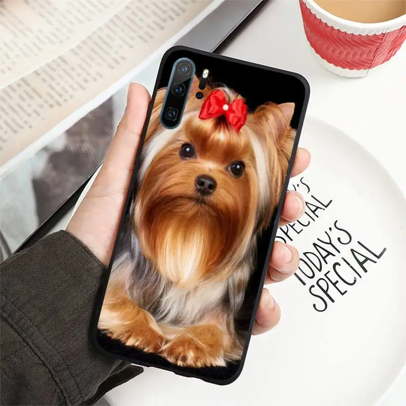 

Yorkshire Terrier Animal cute Phone Case For Huawei honor Mate P 10 20 30 40 i 9 8 pro x Lite smart 2019 nova 5t
