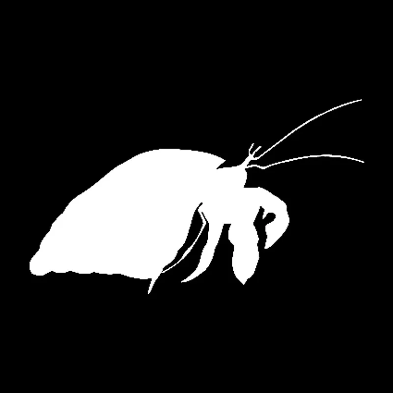 

Hermit Crab Animal Decals Fashion Car Window Decoration Decals Personalized Pvc Waterproof Decals Black/white, 14cm * 8cm