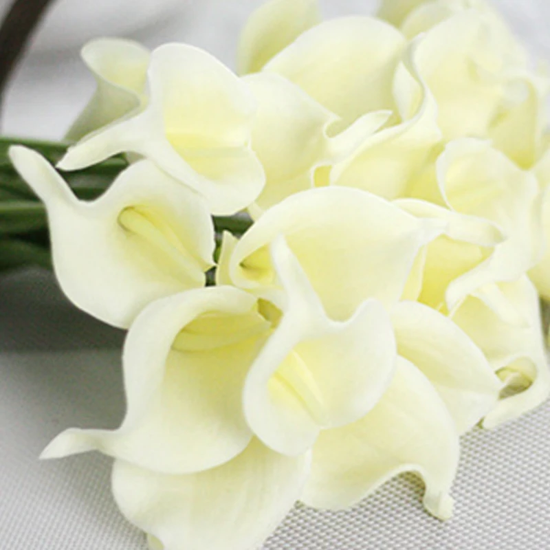 30 шт./лот искусственный белый настоящий для дома сушеные Цветочные венки