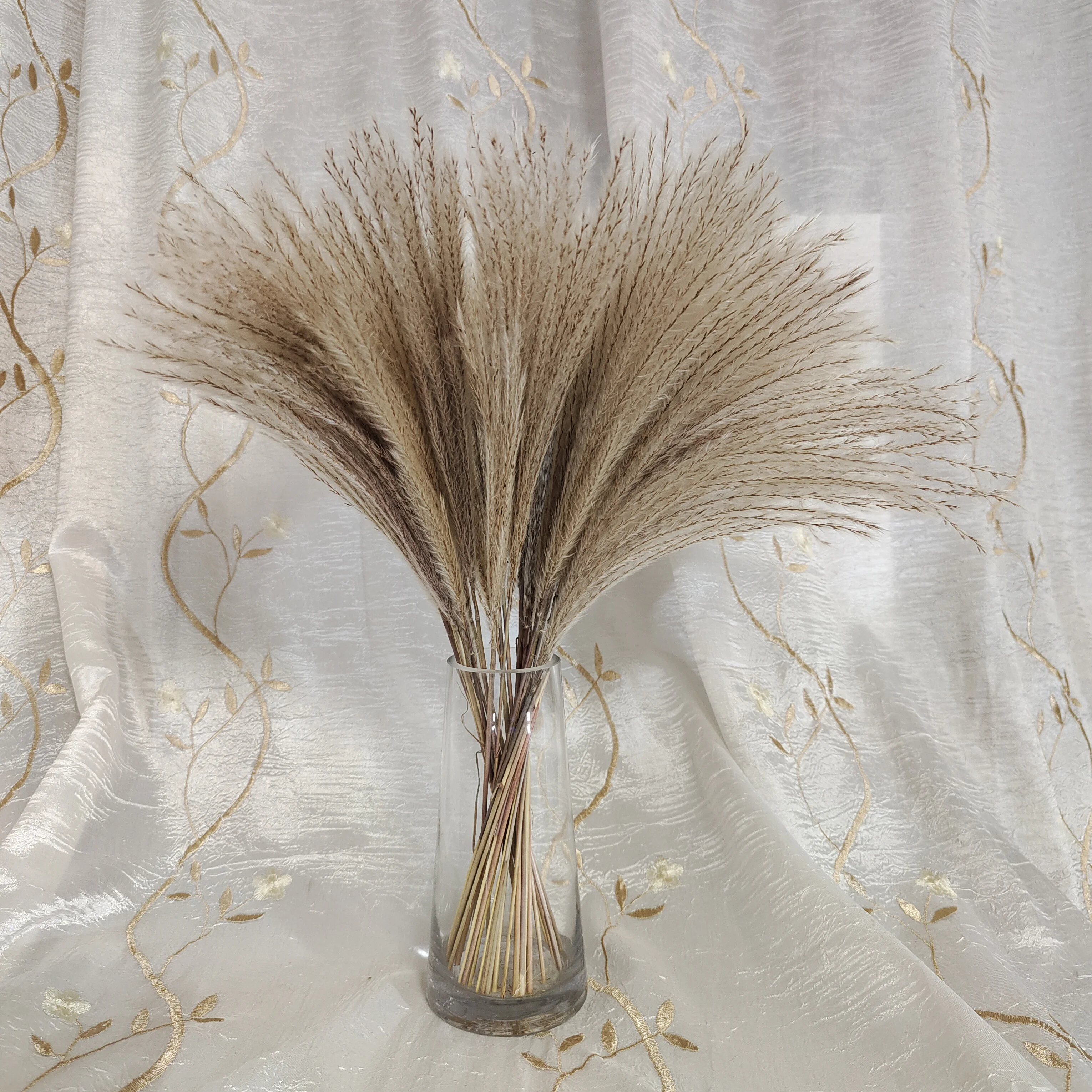 

2021 Time-limited Direct Selling 40 Pcs Natural Reed Flower Bunch Pampas Gras Decor Home Office Plant Ornaments Dried Wedding