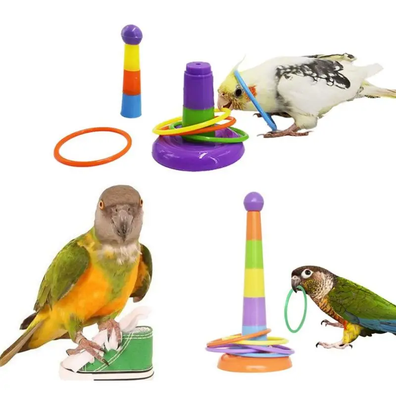 

6Pcs Parrot Training Toys Mini Sneaker Skateboard Intelligence Training Rings P9YB
