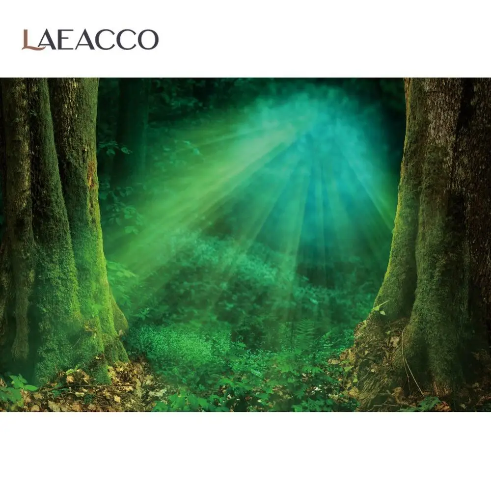 

Laeacco Old Forest Tree Green Grass Moss Shrub Sunshine Mystery Cave Scenic Photographic Background Photo Backdrop Photo Studio