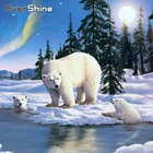 Алмазная вышивка Evershine с животными, снежный медведь, набор для алмазной мозаики с квадратными стразами, украшение для дома