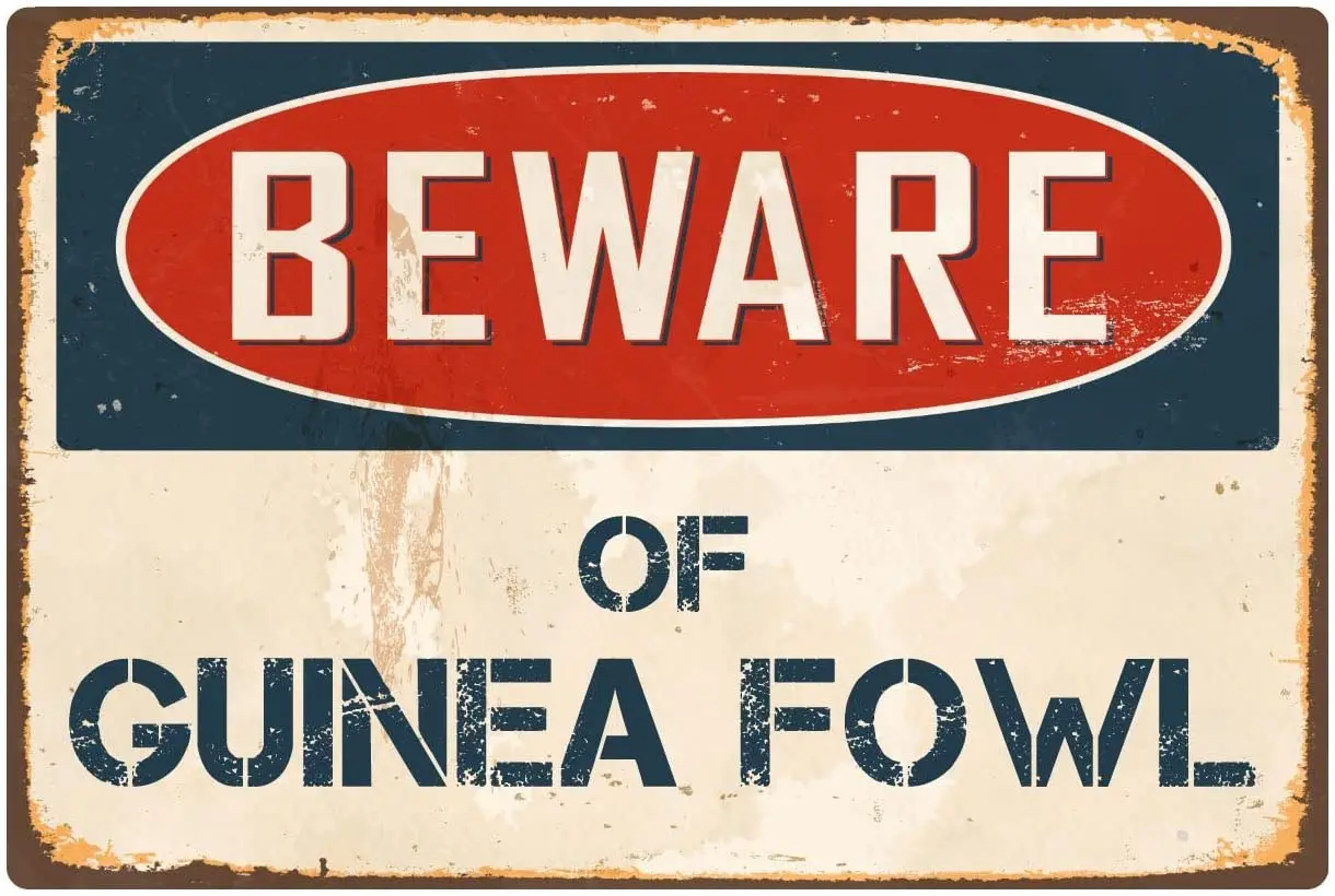 

StickerPirate Beware of Guinea Fowl 8 x 12 Vintage Aluminum Retro Metal Sign VS199