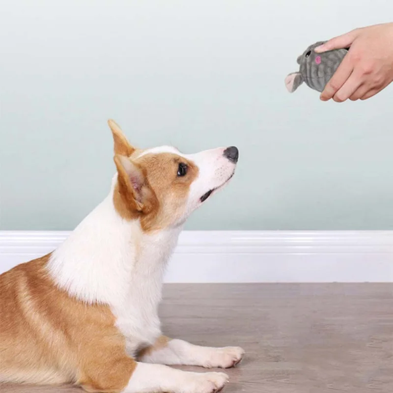 

Funny Pet Dog Cute Plush Ball Mouse Puppy Sounding Toys Chewing Toy Accompany Dogs Interaction Supplies Creative