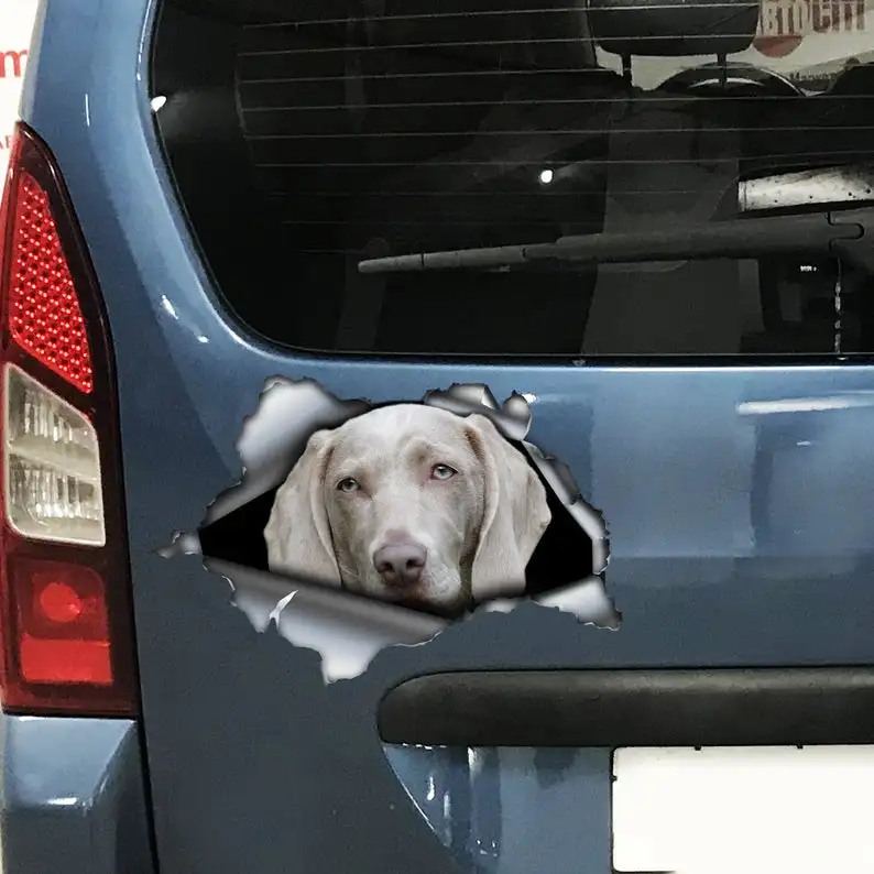 

2021 Gray weimaraner car decal , weimaraner magnet, car sticker , weimaraner sticker