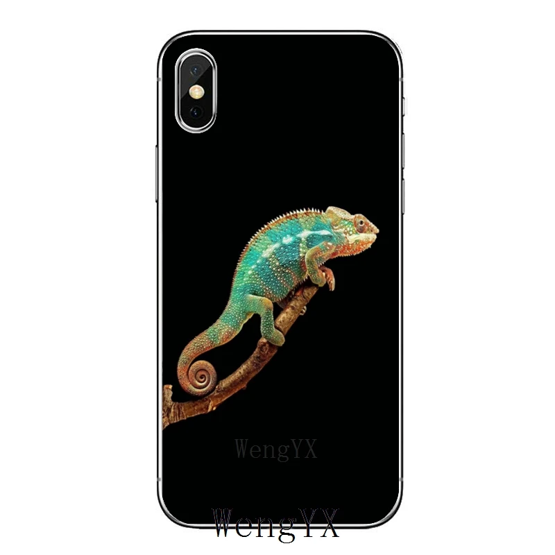 Gecko Ящерица аксессуары чехол для телефона iPhone 12 11 Pro Max Мини XS XR X 8 7 Plus 6 6S 5 5S SE 2020 -