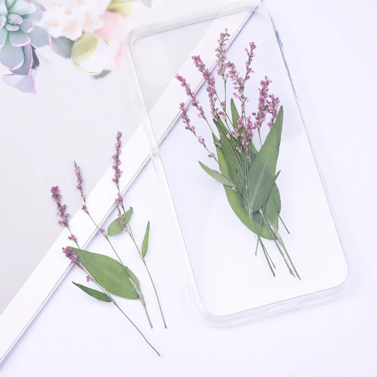 20 шт./лот натуральная прессованная фиолетовая и розовая трава с стеблом Вечные