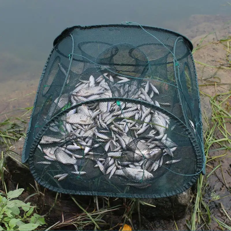 Практичная Складная сетка для рыбалки Dip клетка рыболовная креветка линия раки Зеленый Нейлон Рыболовная