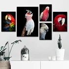 Белая Картина на холсте какаду, австралийское животное, Красный Попугай, постер с животными, современное настенное искусство, картина с птицей, декор для гостиной