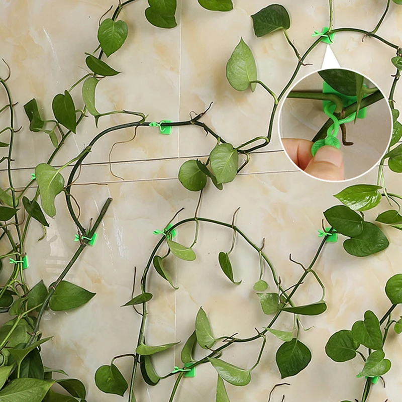 

100pcs Invisible Wall Rattan Clamp Clip Invisible Wall Vine Climbing Sticky Hook Rattan Fixed Clip Bracket Plant Stent Supports