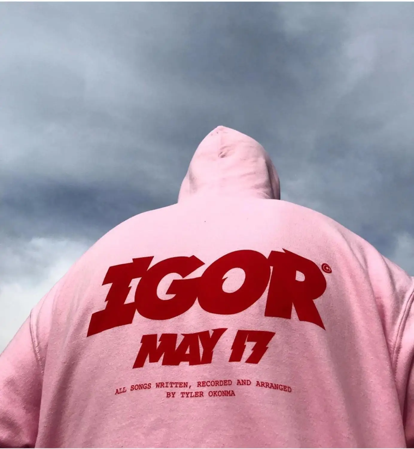 Толстовка мужская с капюшоном худи принтом игр цветов для гольфа флис Тайлер