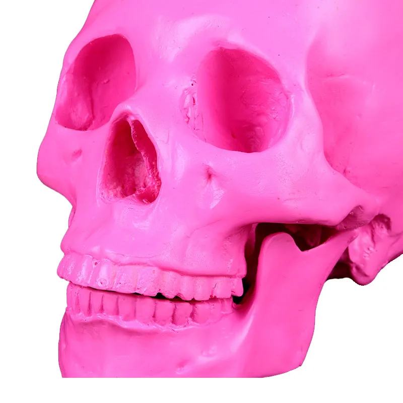 VILEAD 19 см череп животного розовые смолы ремесла ужас украшения партии Хэллоуин