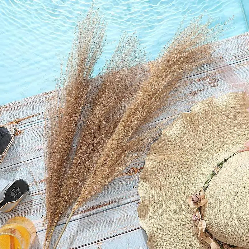 

10pcs Horsetail Whisk Lagurus Ovatus Pampas Grass Dry Flowers Natural Dekoration Reed Phragmites Bunch Communis Pampa Decoration