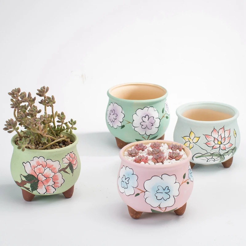 Корейский ручная роспись средний и большой калибр маленькое мясо растение