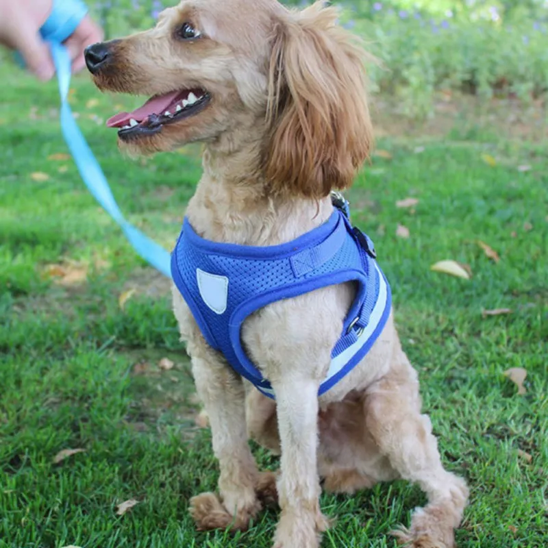 Шлейка для собак и кошек регулируемый светоотражающий жилет поводок прогулок