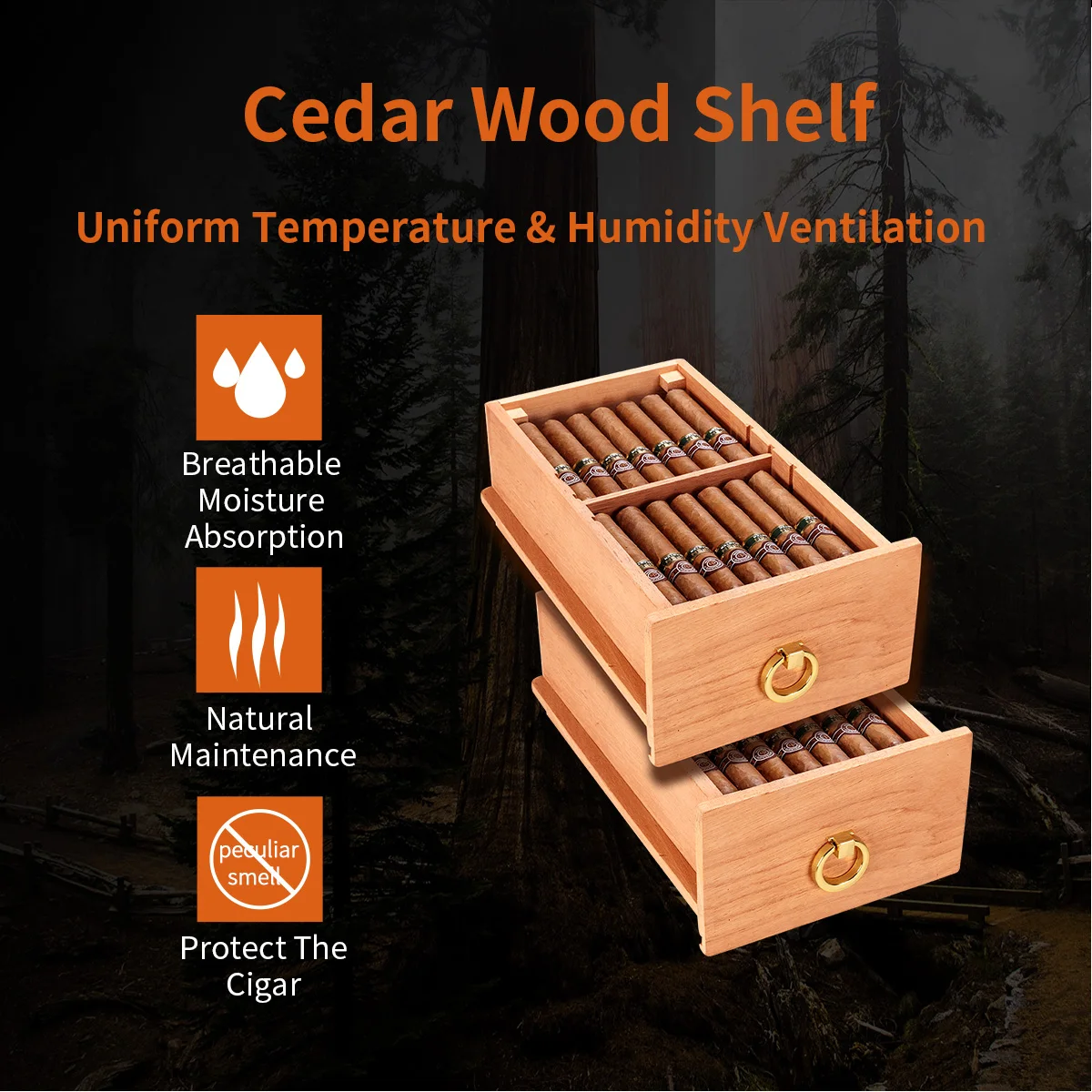 Humididor de cigarros inteligente, estante de madera de cedro espa&ntilde;ol, refrigerador para la Caja, ahorro de energ&iacute;a, sin ruido, refrigerador de aire fresco para el hogar-1
