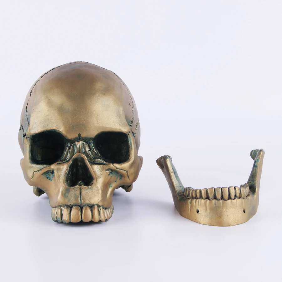 Голова человека в масштабе 1:1 размер взрослых копия черепа из смолы медицинская